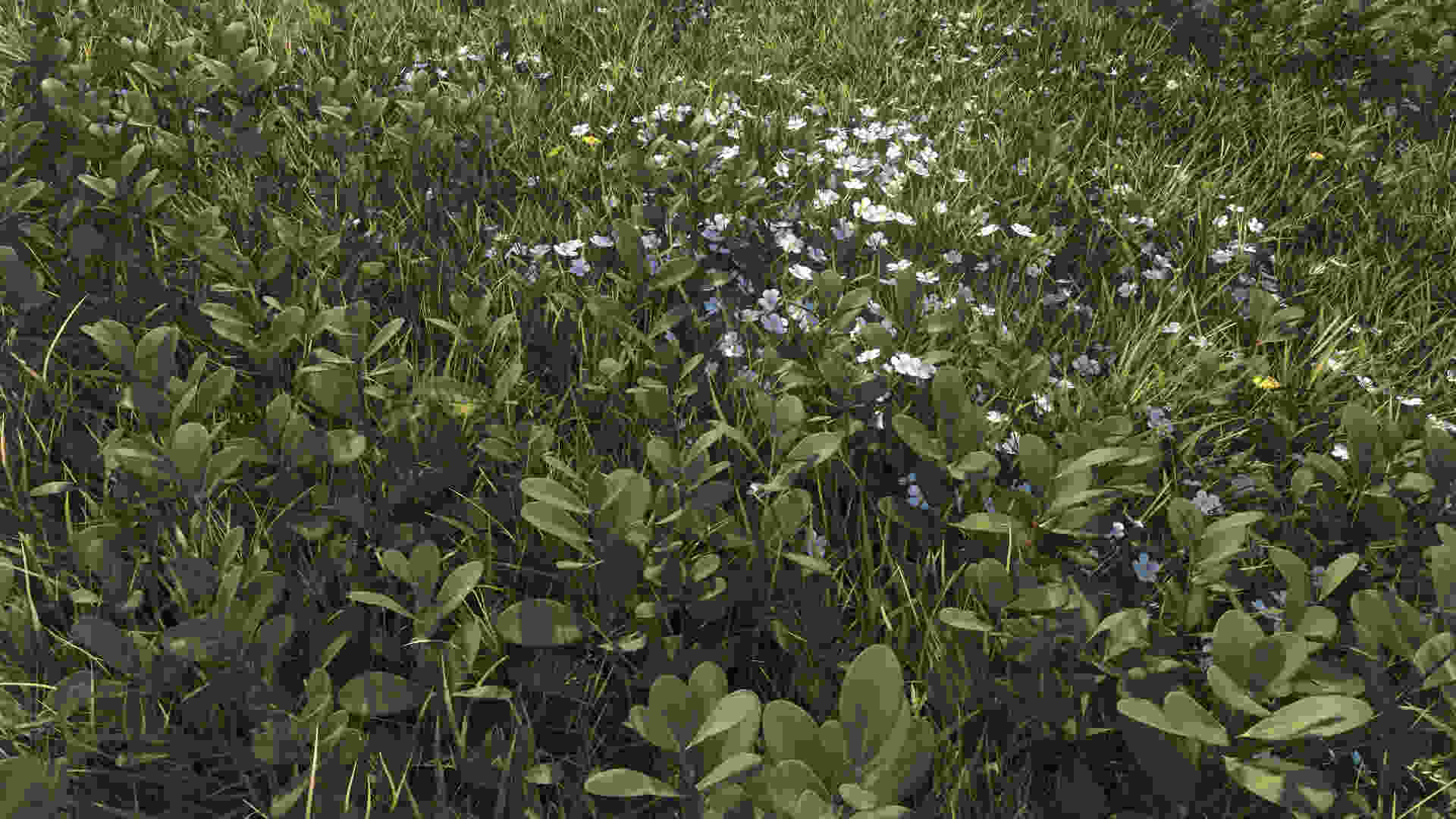 Foxhole vegetation