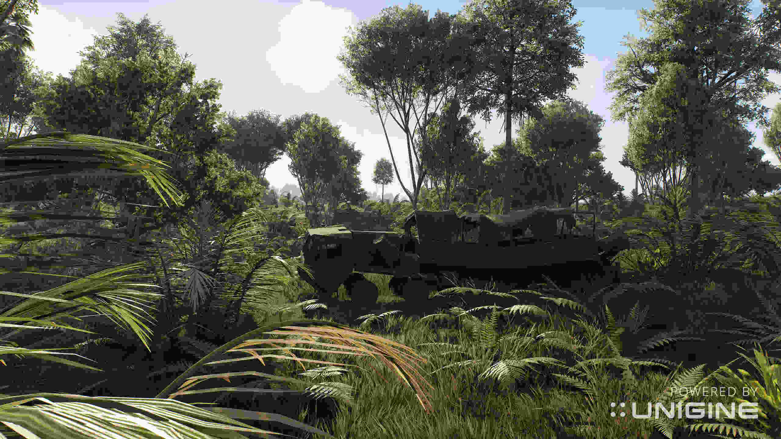 Vegetation