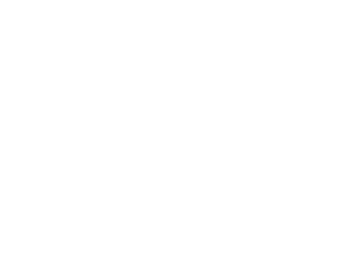 2.20 zh