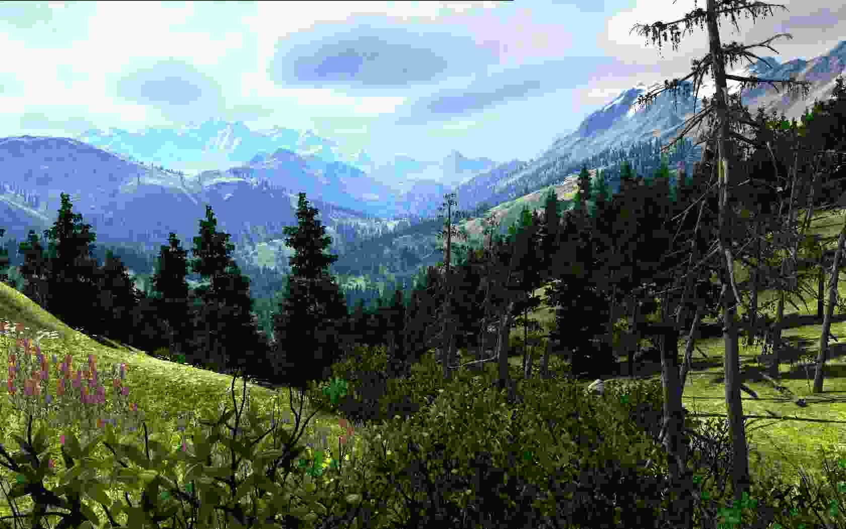 Valley